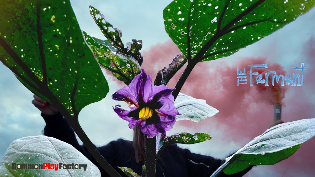 vertical banner layered image with Common Play Factory logo and The Ferment handwritten title over a zoomed in image of a bug-bitten yet flowering eggplant plant in front of a black clad figure raising pink smoke flares into the air.